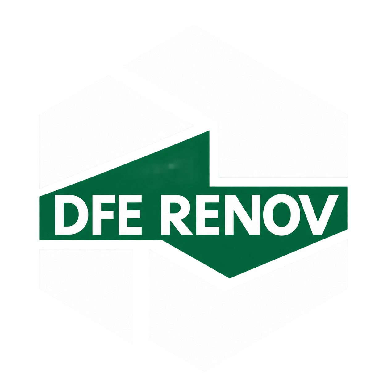 Logo DFE RENOV
